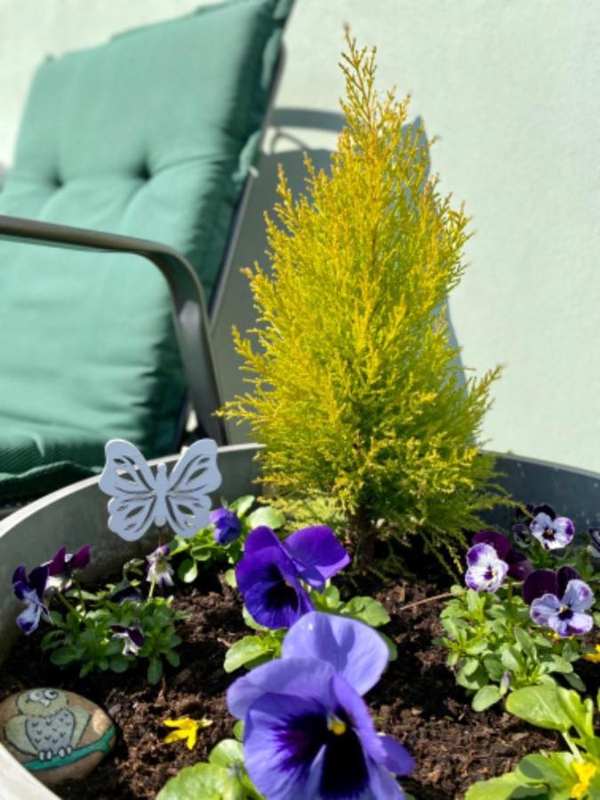 Apartment U Rybnicka