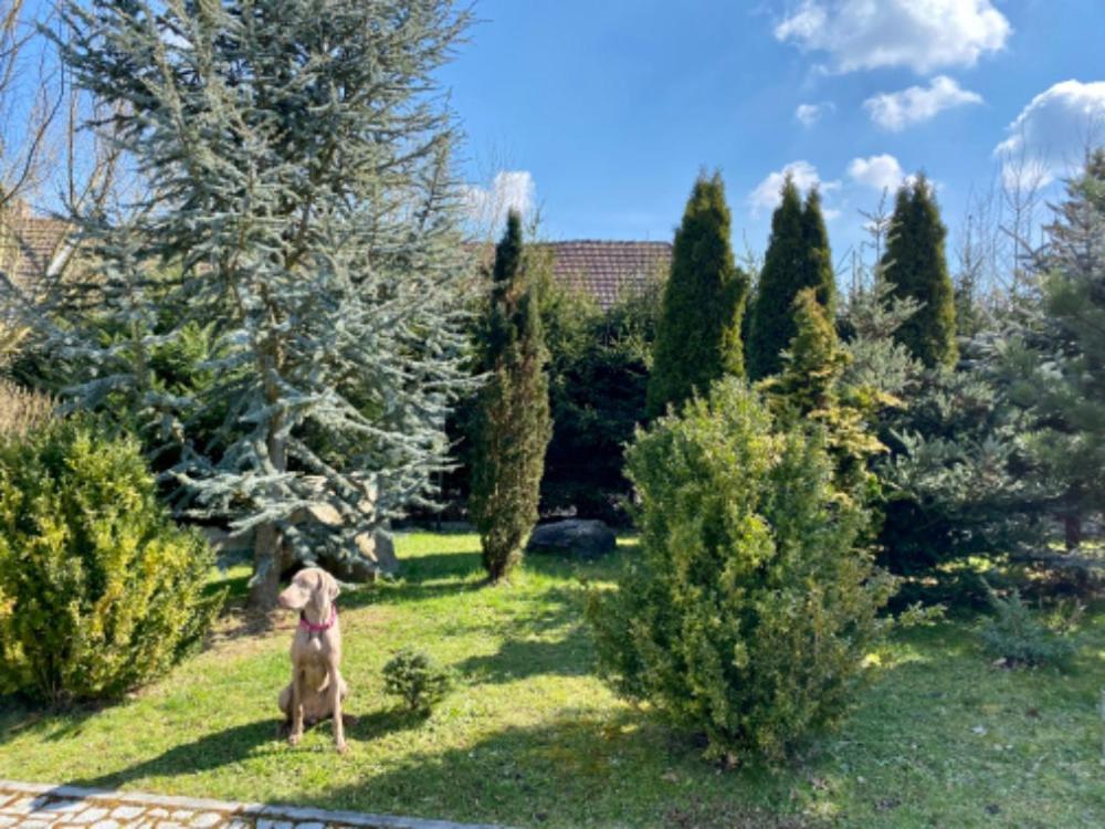 Apartment U Rybnicka Pribraz